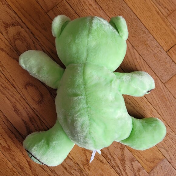 Baby Ganz Bear Plush with Rattle Chocolate Chip Mint Green Brown - Picture 5 of 9